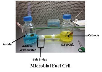 Phd thesis microbial fuel cell